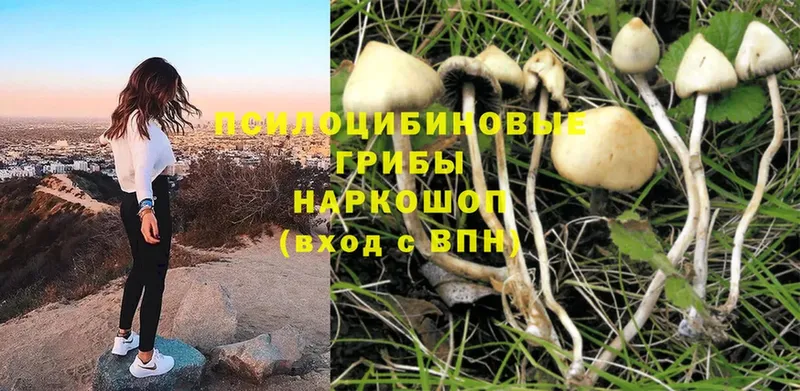 Галлюциногенные грибы Magic Shrooms  наркотики  ссылка на мегу ONION  Туймазы 